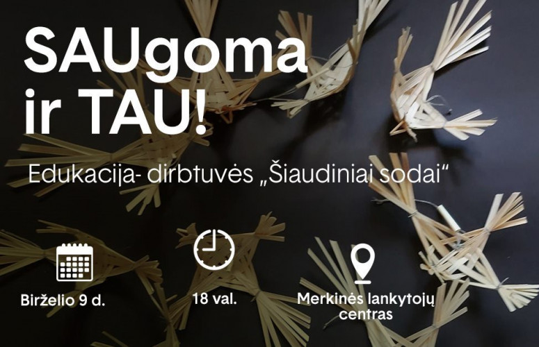 SIAUDINIAI SODAI_1.jpg